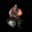 The Gladiator
