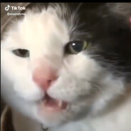 Spunky