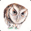 thejunjleowl