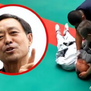 现代武术家马保国