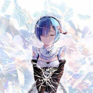 叙利亚性感乌贼