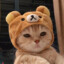 hoov
