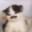 Hammy
