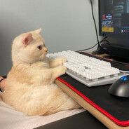 -mrbruh - steam id 76561198839925972