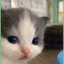 yy's avatar