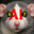 Rat Gummies
