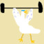 Gym Goose