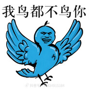 我鸟都不鸟你