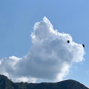 saudade༼ つ ◕_◕ ༽つ