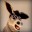 Bebu_chan
