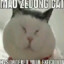 Meow Zedong
