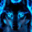 BlueWolf