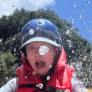 纯爱战士嘤嘤嘤