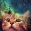Spacecat124