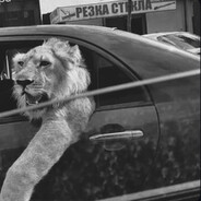 𝗞𝗺𝟳𝟳𝘇𝘇 ✘