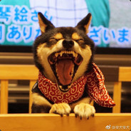 阿柴同学不能说顶不住