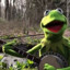 Kermit the banjo frog