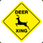 DeerXing (ghazal SVK)