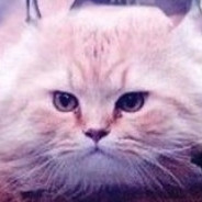 Пудик(Длинный)