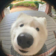 跳伞给我干嘛，我不要刷抖音吗