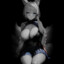 Rap_bit44