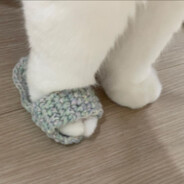 YOU WANT A SCANDAL NOW???☆ ☾