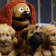 ROWLF