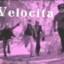 Velocita
