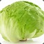 lettuce