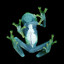 ZIPPTON