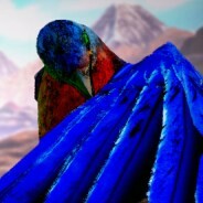 星星还是那么亮