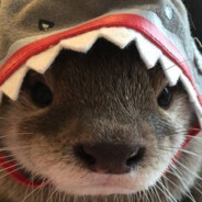 Classified headshoter #GOJUL