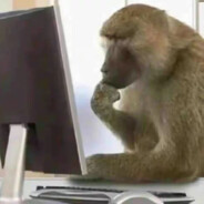 练习时长一坤年