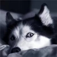 伊万诺夫拉只拉裤兜里