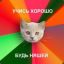 Fellini (I&#039;m pedobear, oh yeah!)