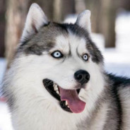 你背叛了人民群众！CNM