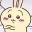 uSagi