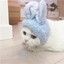 可乐QAQ