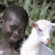 Analna przygoda z kozą