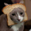 breadcat