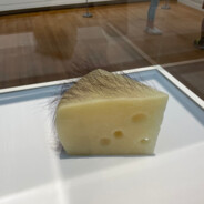 Hairy Cheese