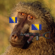Zimbabwe Monke