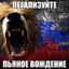 Девствственность