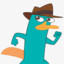 Perry's Hat