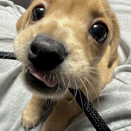 descobridordefantasmas67