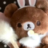 可爱猫咪闻花香