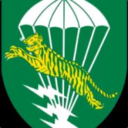 ARVN Airborne