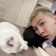 怎么都是你不行.