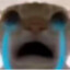 HangHaoHutime