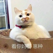 凯、乐、浩的爹